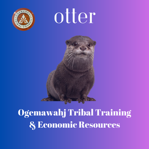 OTTER_300_x_300_px.png